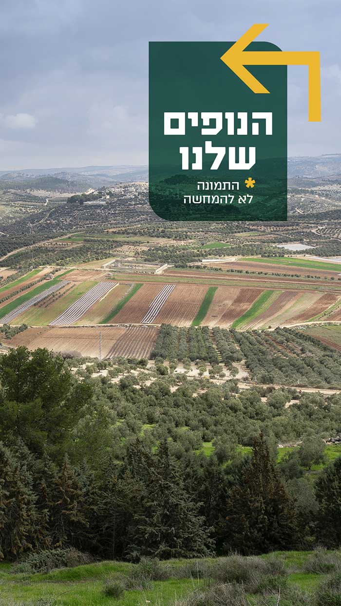 הנופים שלנו