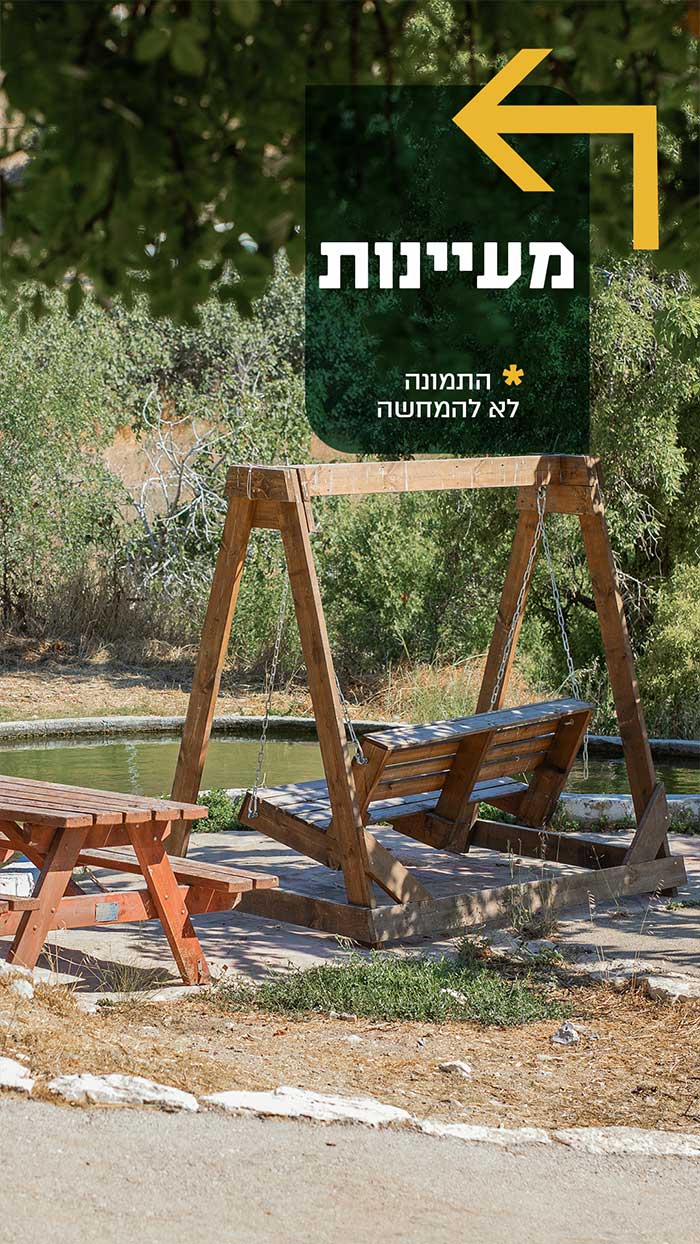 מעיינות